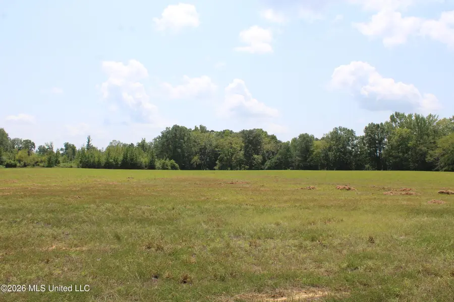 1255 Highway 30, Tishomingo, MS 38876 - #2
