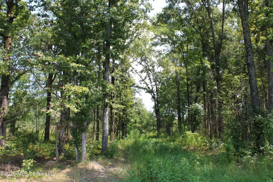 1255 Highway 30, Tishomingo, MS 38876 - #3
