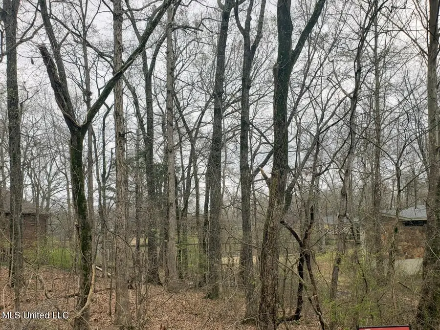 4025 Windermere Drive, Nesbit, MS 38651 - #2