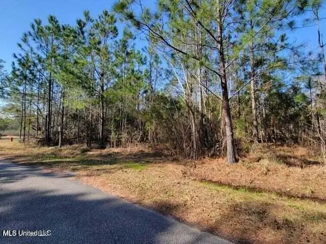0 Wolf Street, Waveland, MS 39576 - #1