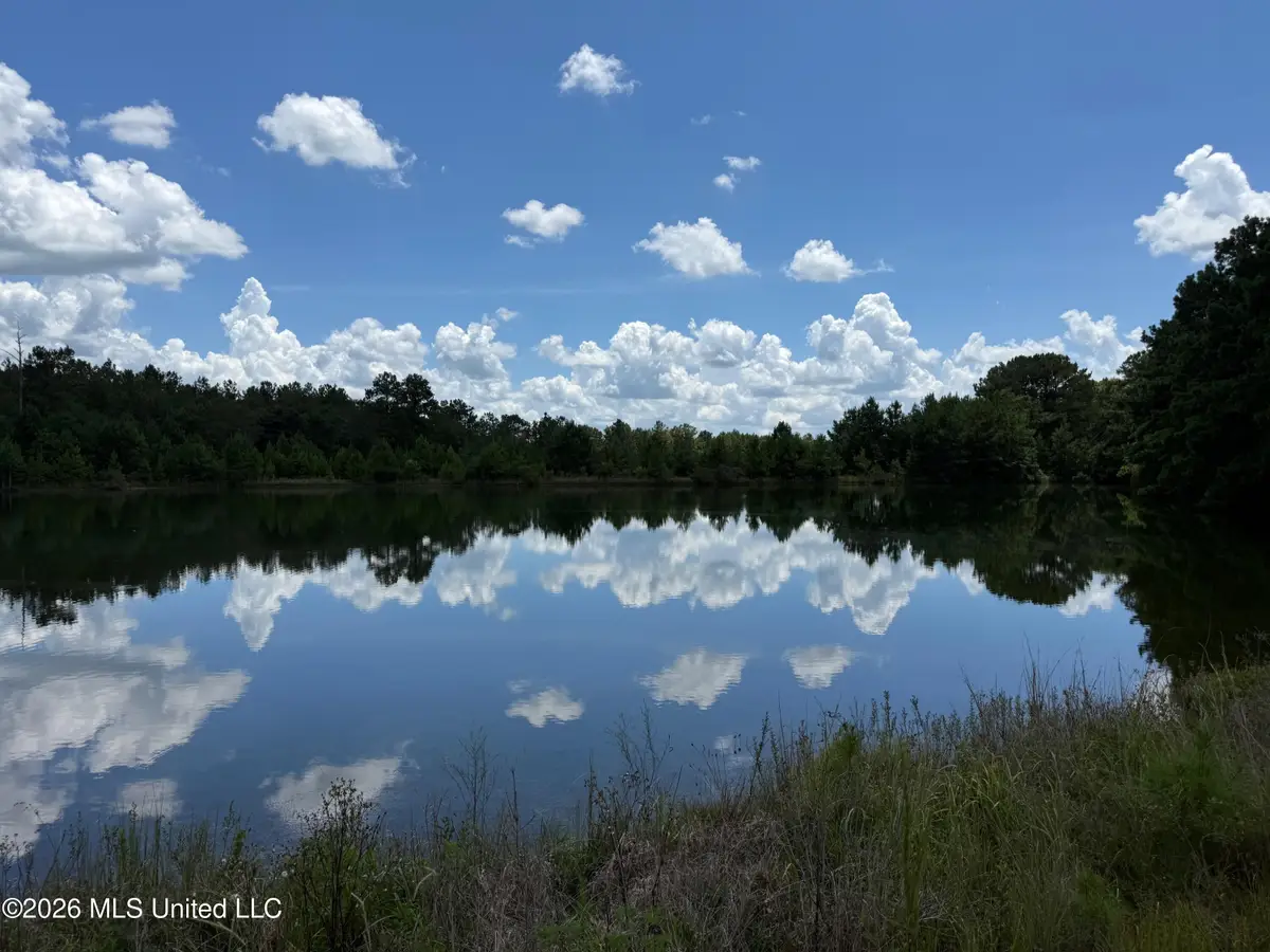 2895 Silver Run Road, Poplarville, MS 39470 - #1