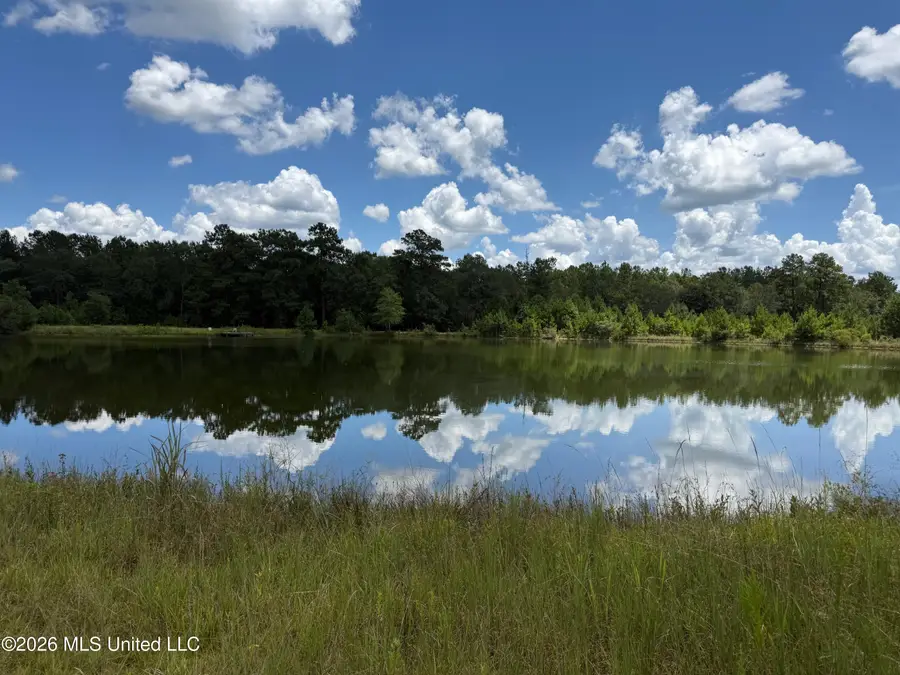 2895 Silver Run Road, Poplarville, MS 39470 - #2