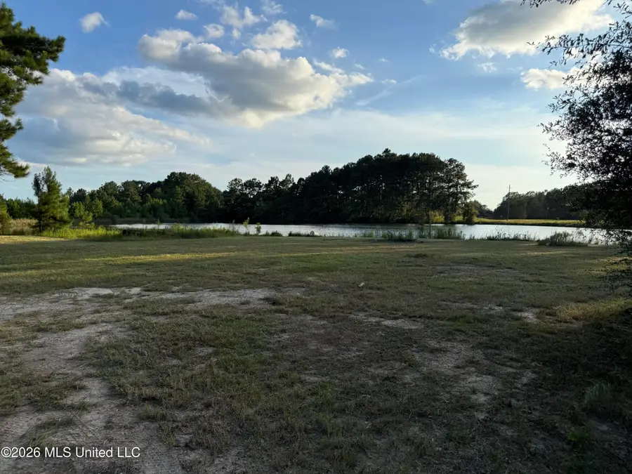 2895 Silver Run Road, Poplarville, MS 39470 - #3