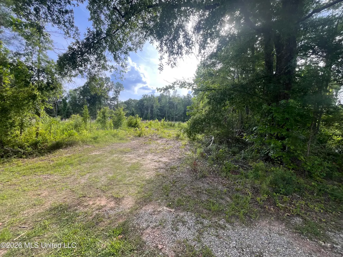 1 Pettey Road, Forest, MS 39074 - #1