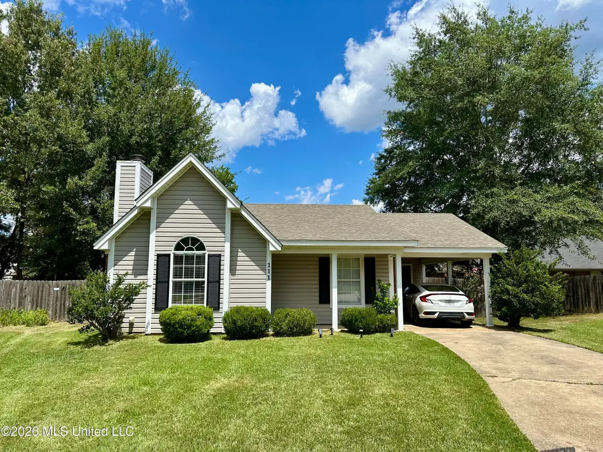 111 Barnett Bend Lane, Brandon, MS 39047 - #1