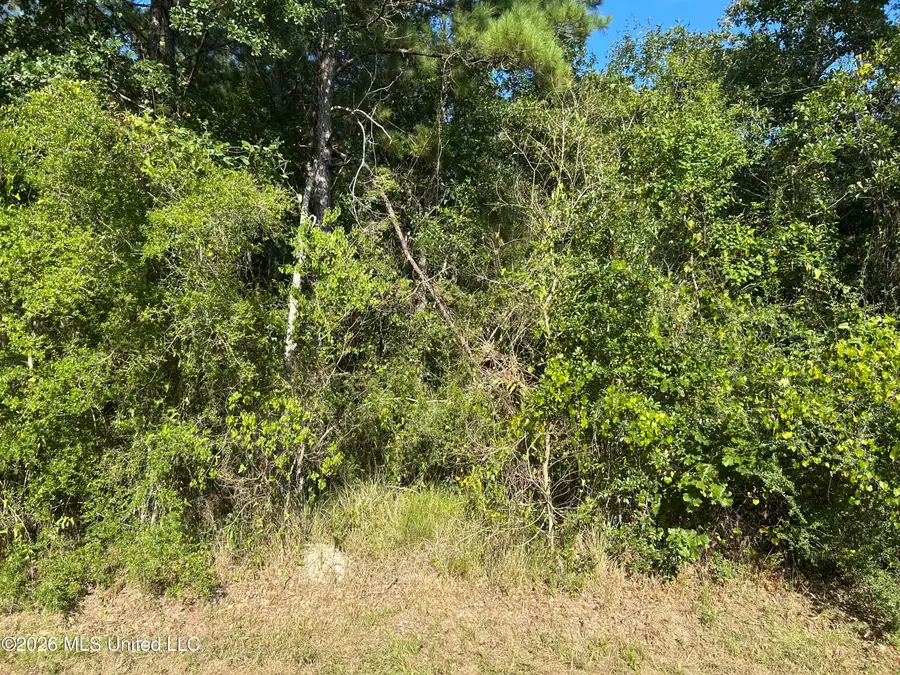 Garfield Street, Waveland, MS 39520 - #2