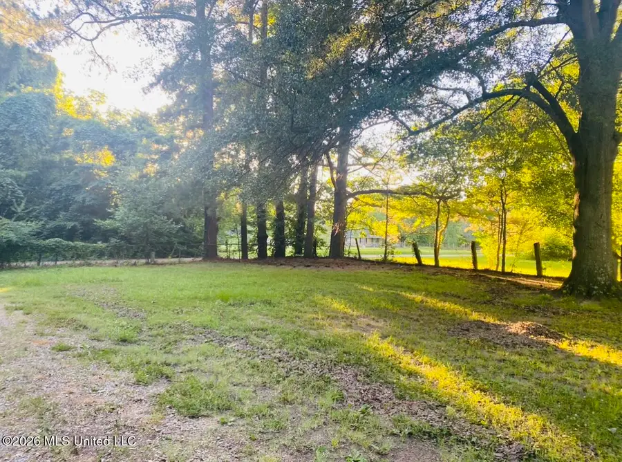 8910 Old Highway 61, Walls, MS 38680 - #2