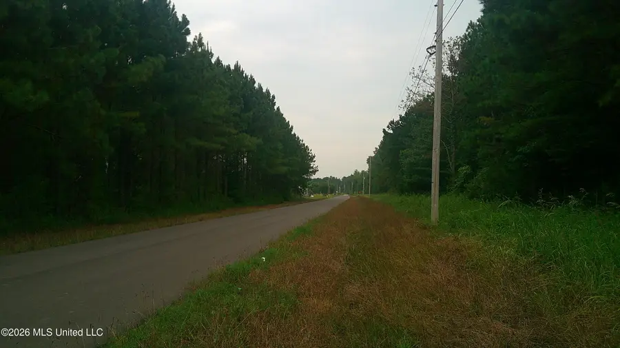 Will Glenn Road, Smithville, MS 38870 - #2