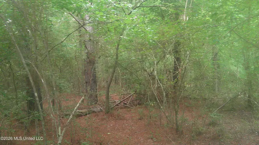 Will Glenn Road, Smithville, MS 38870 - #3