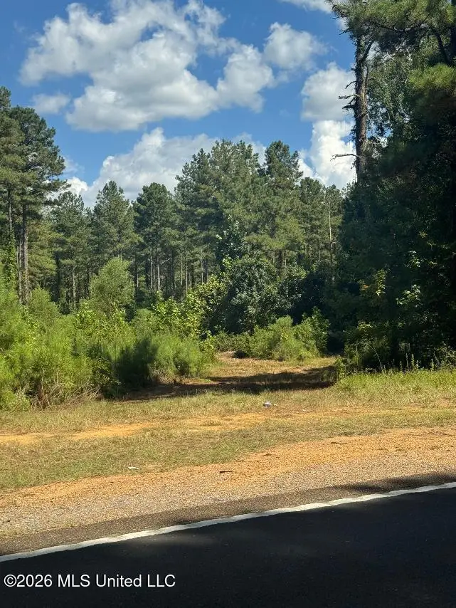 Highway 33, Roxie, MS 39661 - #2