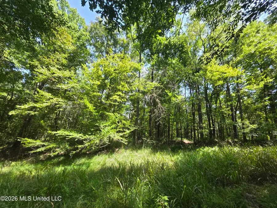 Oldenburg Road, Meadville, MS 39653 - #2