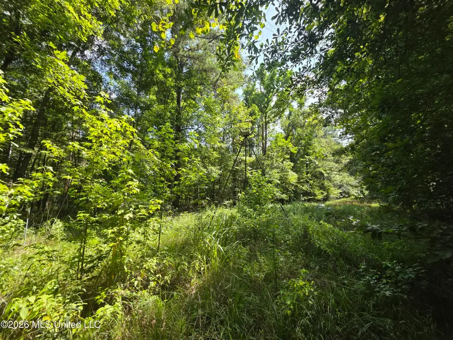 Oldenburg Road, Meadville, MS 39653 - #3