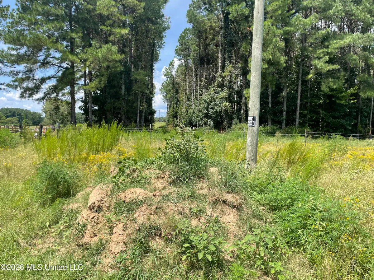 Steward Road, Senatobia, MS 38668 - #1