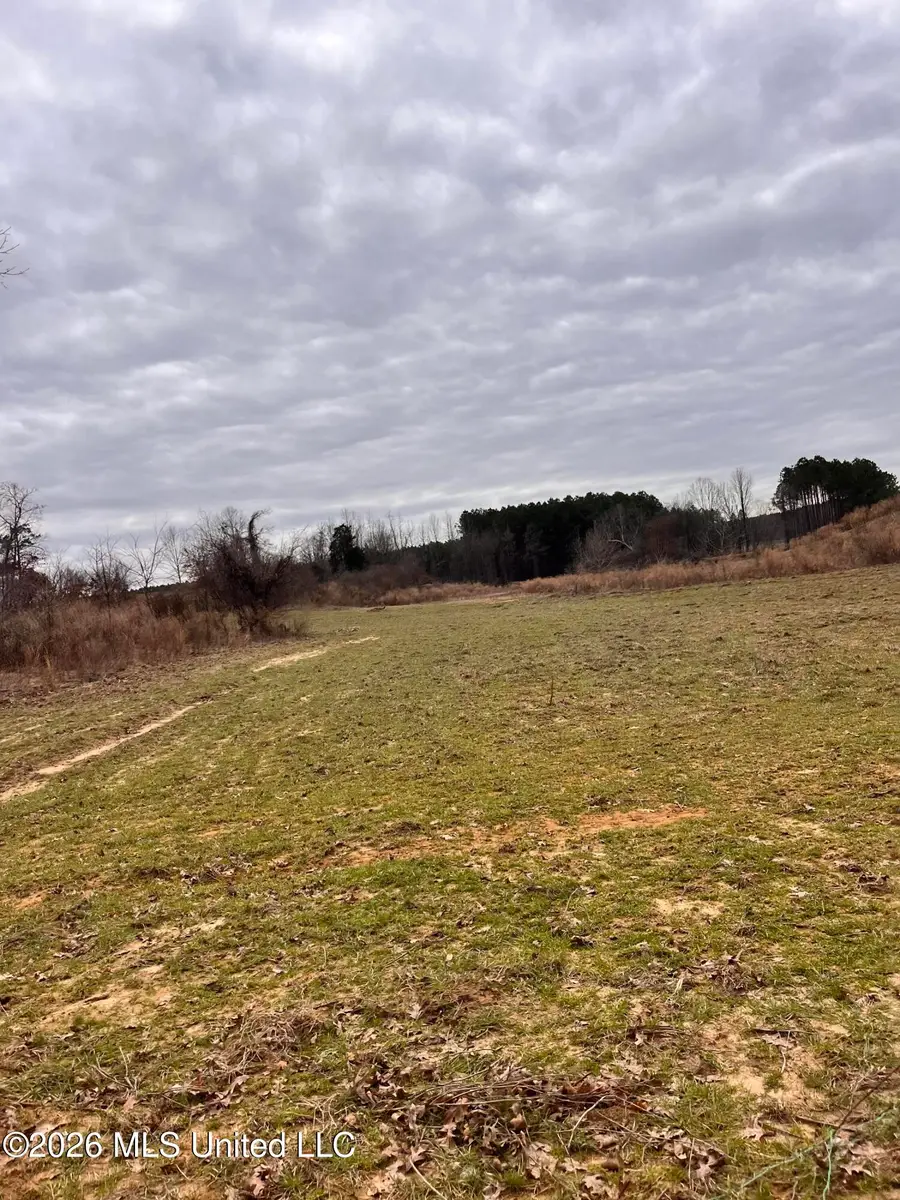 Steward Road, Senatobia, MS 38668 - #3