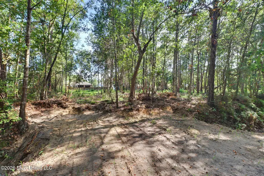 116 Robinson Street, Pass Christian, MS 39571 - #3