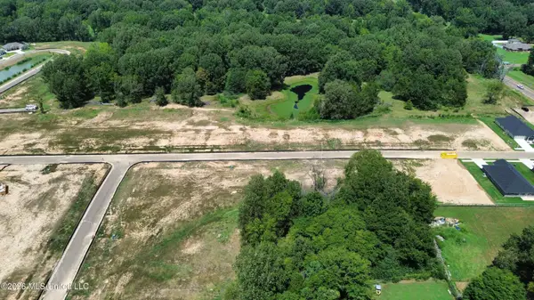 4225 Highway 305, Olive Branch, MS 38654
