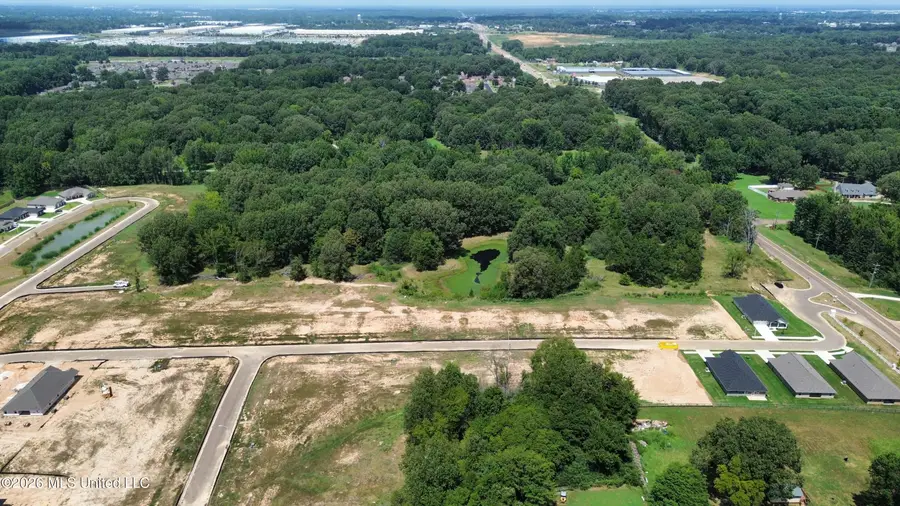 4225 Highway 305, Olive Branch, MS 38654 - #2