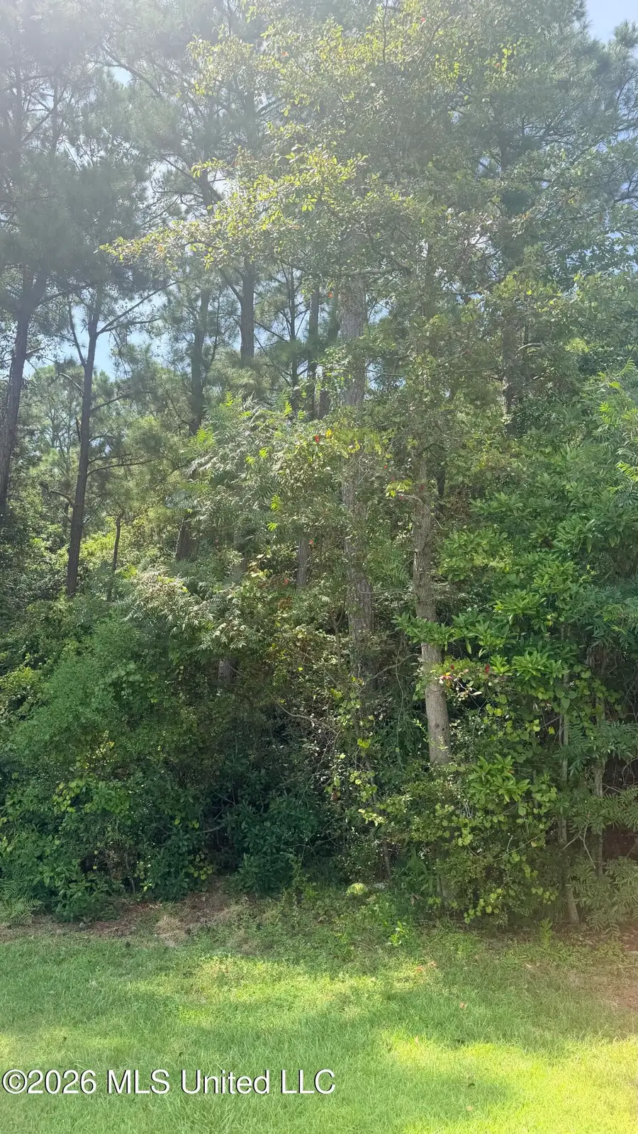 High Ridge Drive, Ocean Springs, MS 39564 - #3