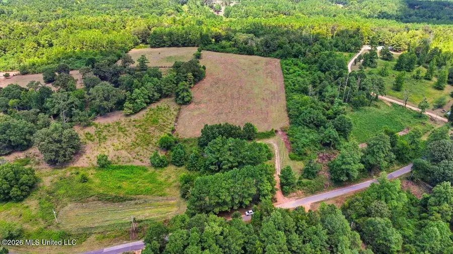 2306 Scr 80, Taylorsville, MS 39168 - #2
