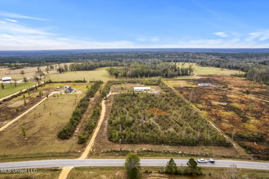 284 W Wire Road, Perkinston, MS 39573 - #3