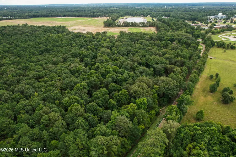 Old Whitfield Road Road, Pearl, MS 39208 - #3