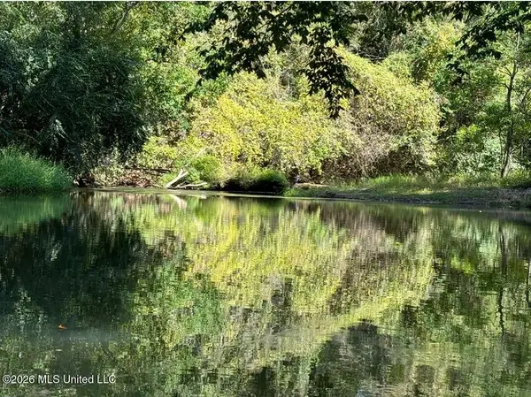 Xxxx Hamp Lea, Magnolia, MS 39652