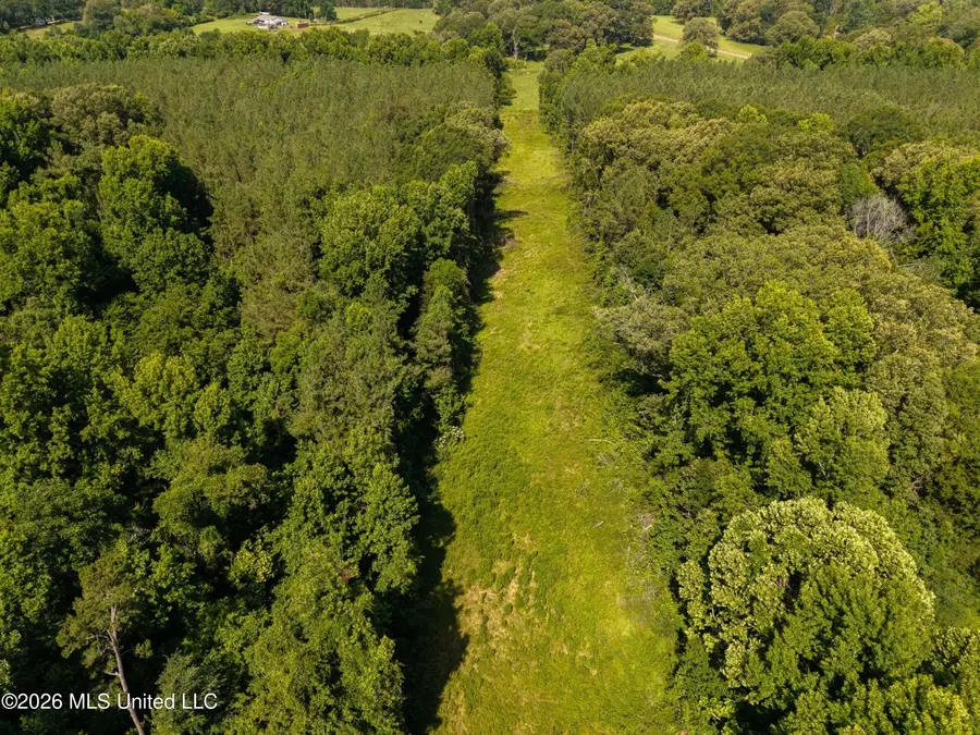 Anding Oil City Road, Bentonia, MS 39040 - #3