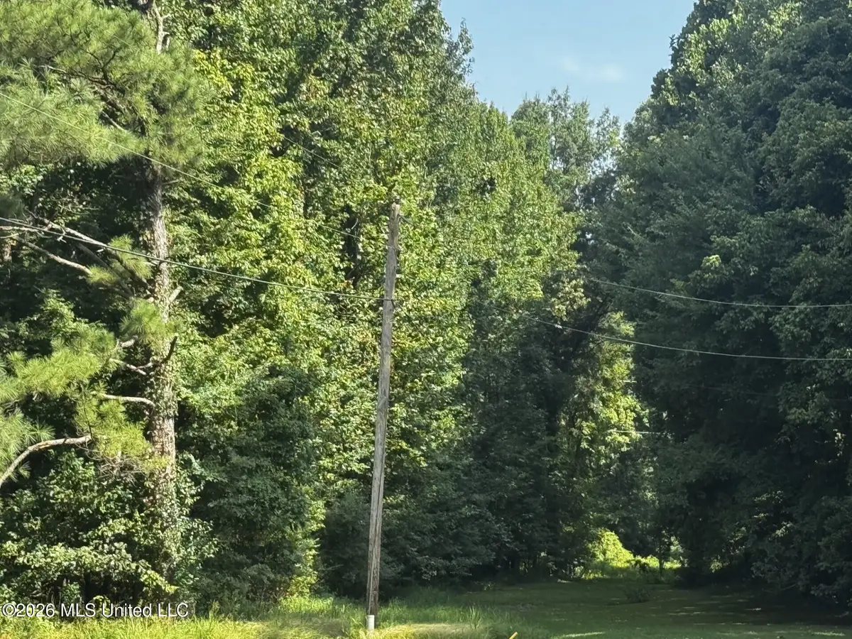 W Sweetwater Road, Byhalia, MS 38611 - #1