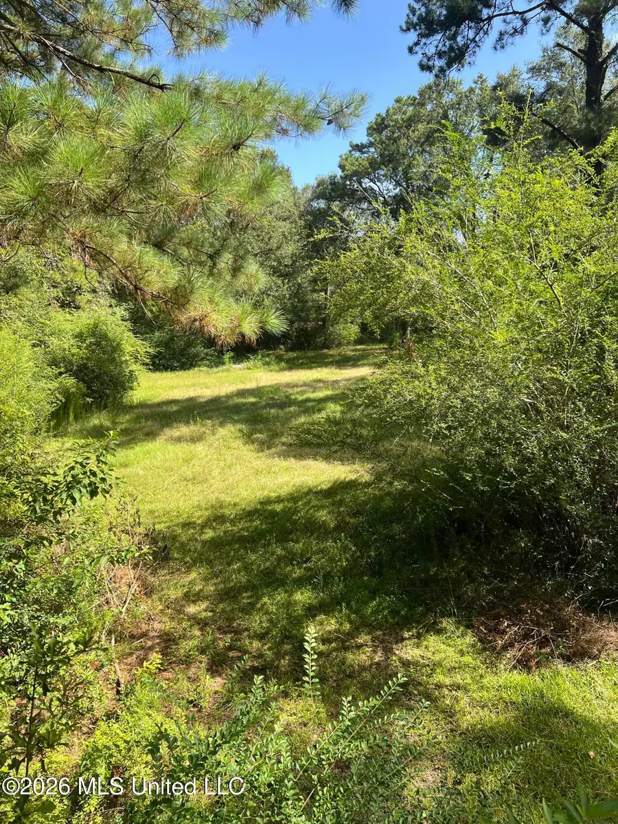 15546 Broadus Road, Saucier, MS 39574 - #3