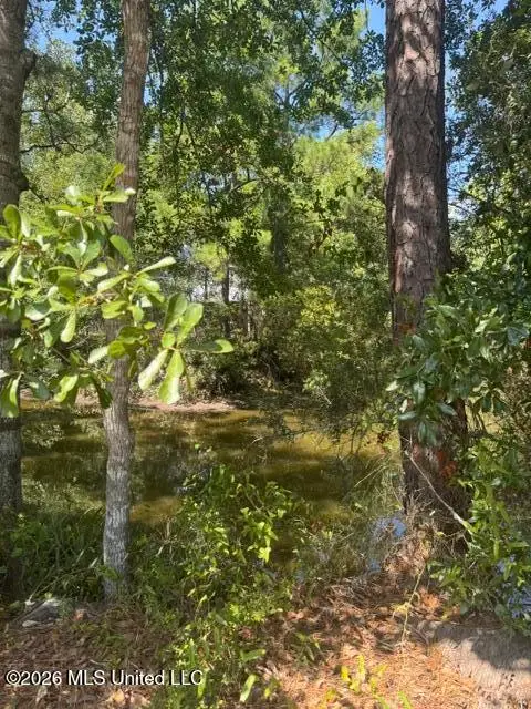11044 Lake Drive, Bay Saint Louis, MS 39520 - #2