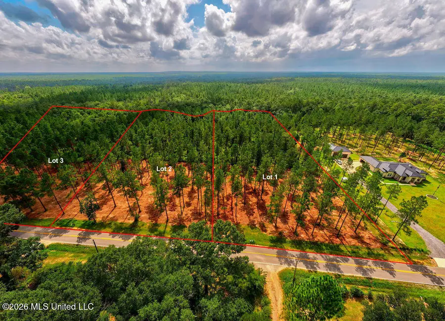 Nhn Lot 2 Ramsey Road, Saucier, MS 39574 - #2