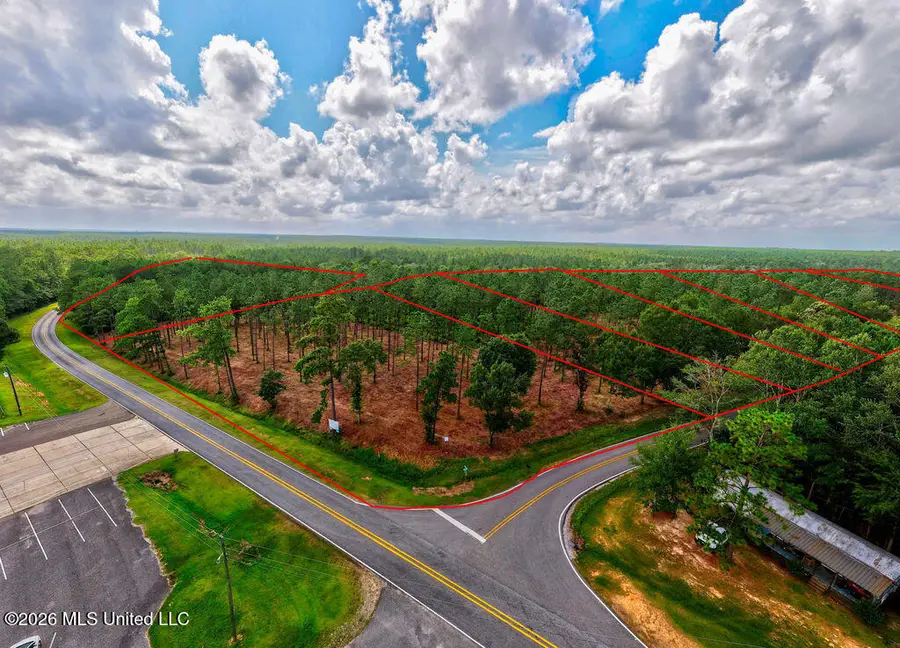 Nhn Lot 2 Ramsey Road, Saucier, MS 39574 - #3