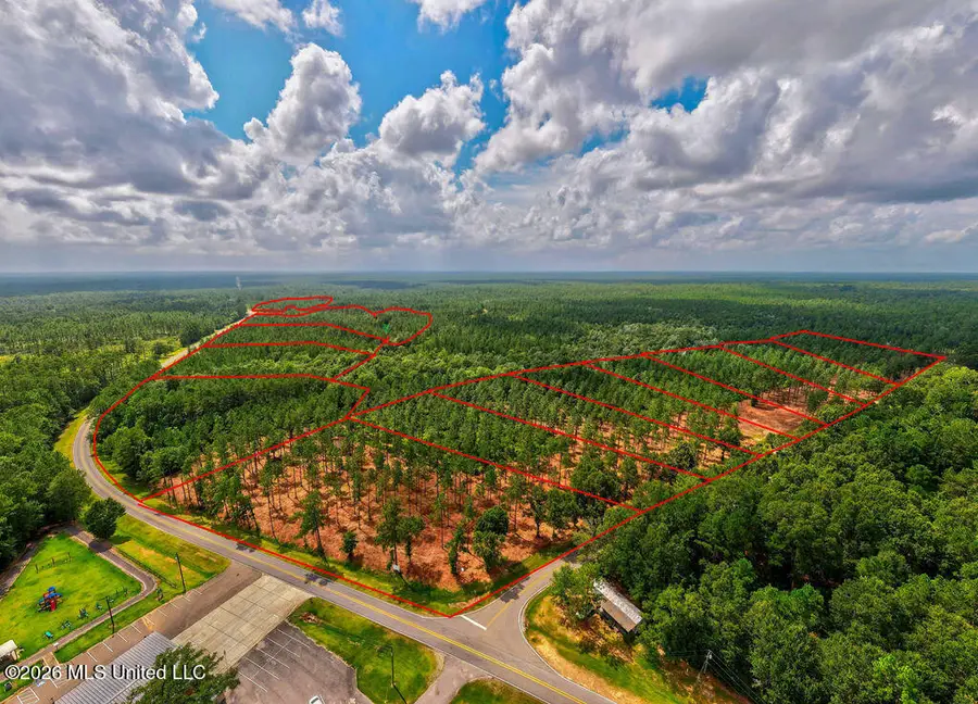 Nhn Lot 4 Ramsey Road, Saucier, MS 39574 - #3