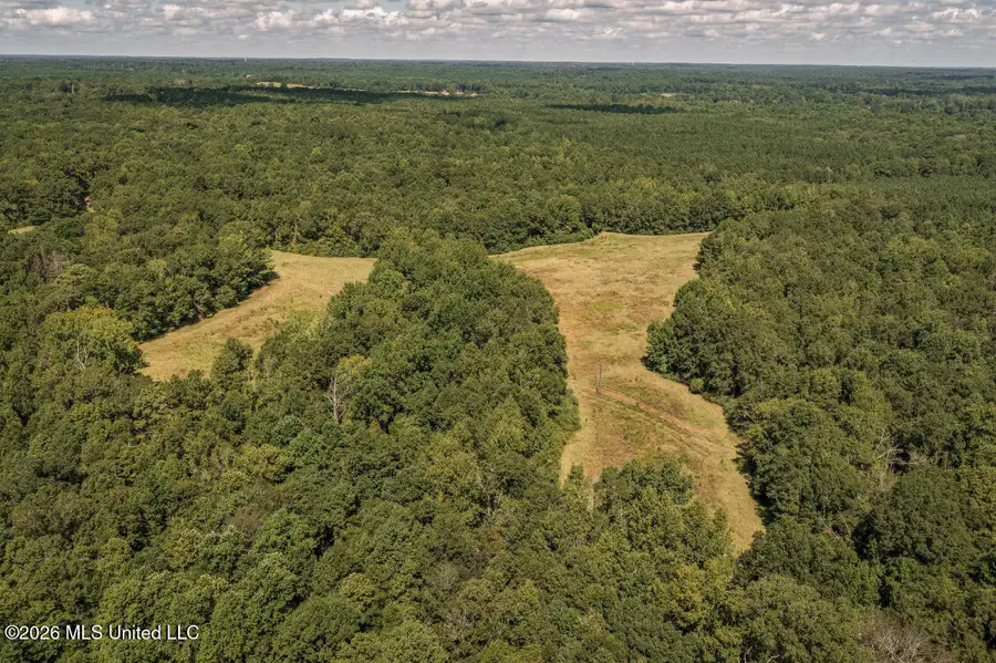 Craft Road, Magee, MS 39111 - #3