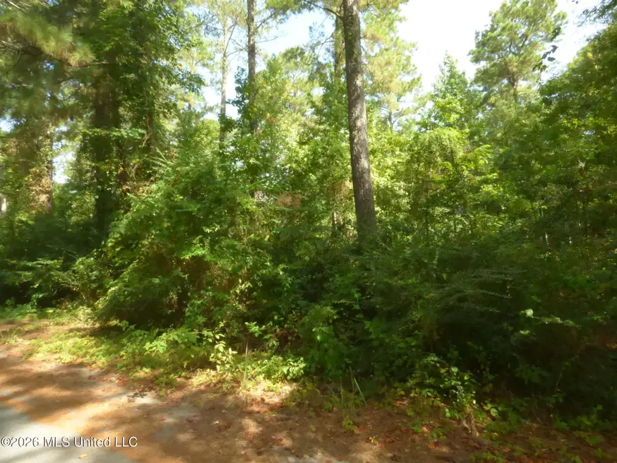 Cedar Drive, Monticello, MS 39654 - #2