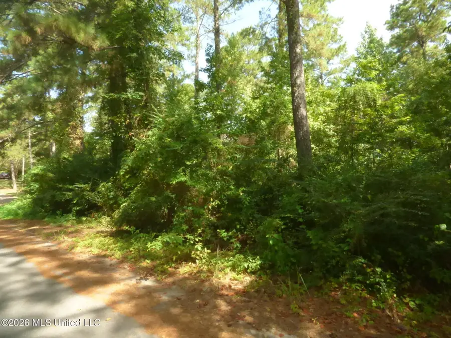 Cedar Drive, Monticello, MS 39654 - #3