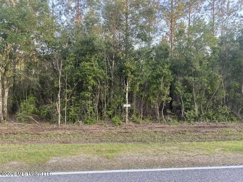 Nhn Lot 15 Bethel, Saucier, MS 39574 - #1