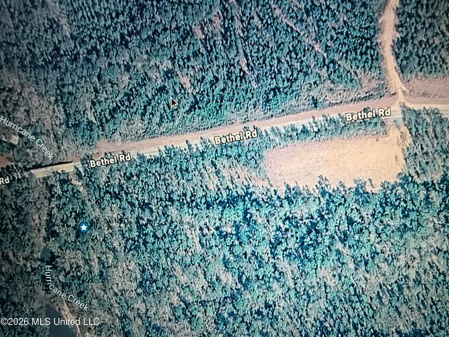 Nhn Lot 15 Bethel, Saucier, MS 39574 - #2
