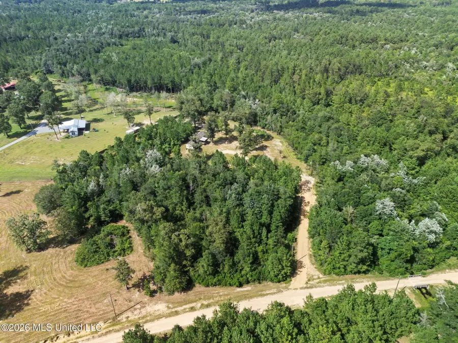 78 B K P Bolling Road, Perkinston, MS 39573 - #3