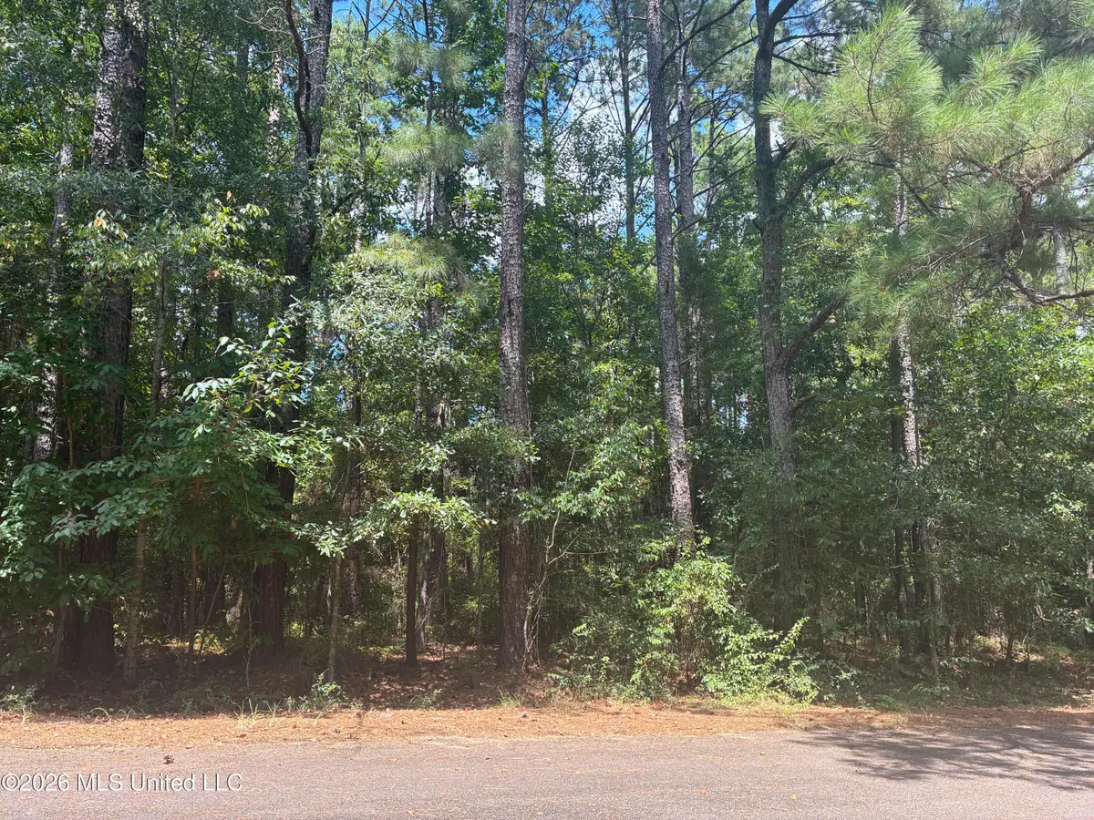 0 Lexington Lane, McComb, MS 39648 - #1
