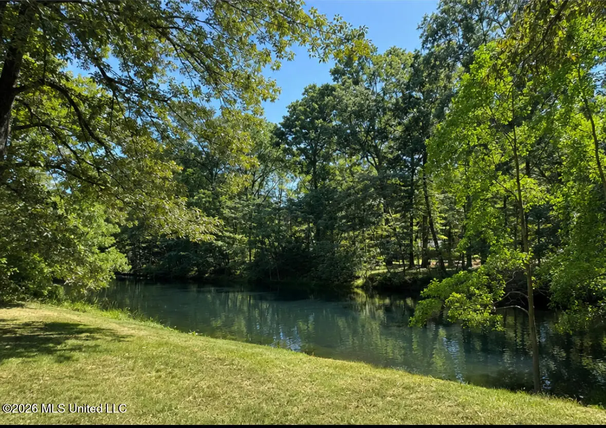 106 Holly Trail, Brandon, MS 39047 - #1
