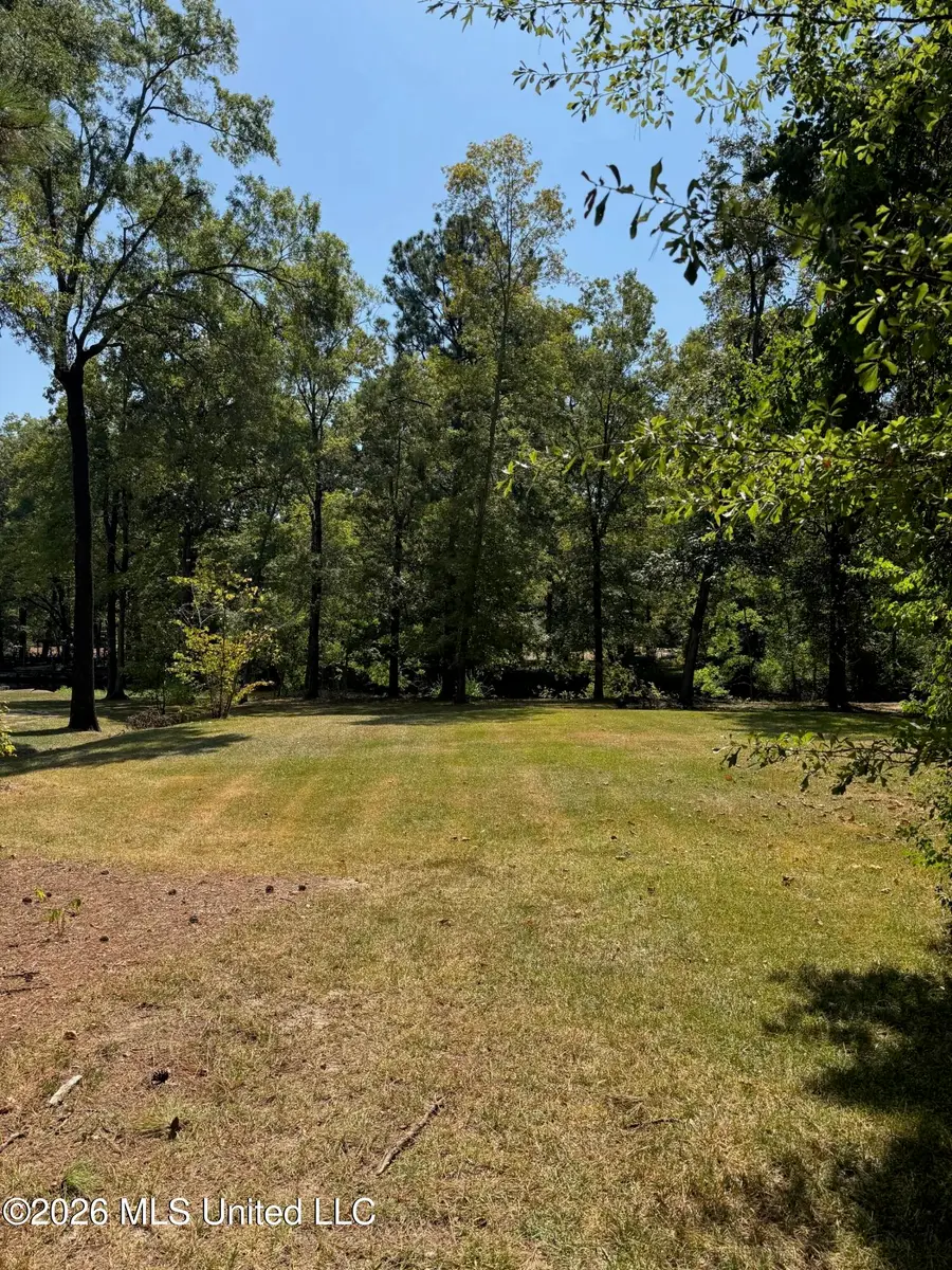 106 Holly Trail, Brandon, MS 39047 - #3