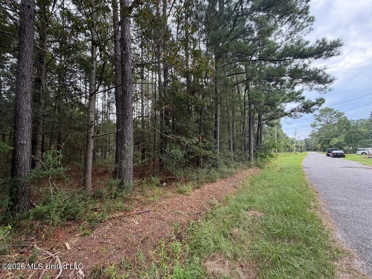 W Ridley Street, Bay Saint Louis, MS 39520 - #1
