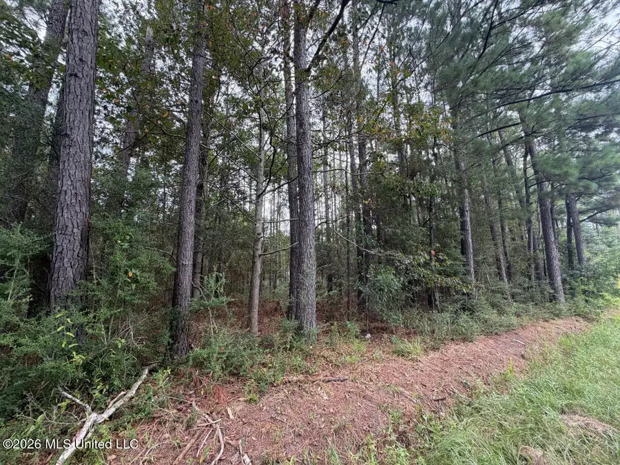 W Ridley Street, Bay Saint Louis, MS 39520 - #2