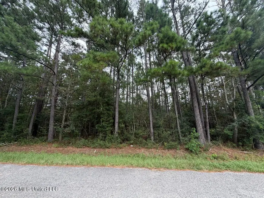 W Ridley Street, Bay Saint Louis, MS 39520 - #3