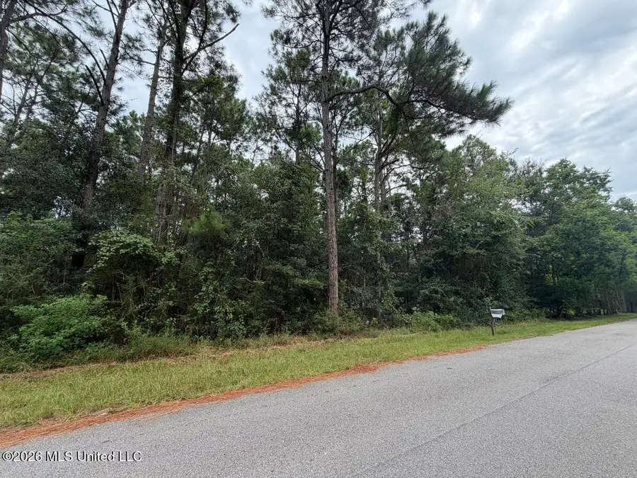 Scott Street, Bay Saint Louis, MS 39520 - #3