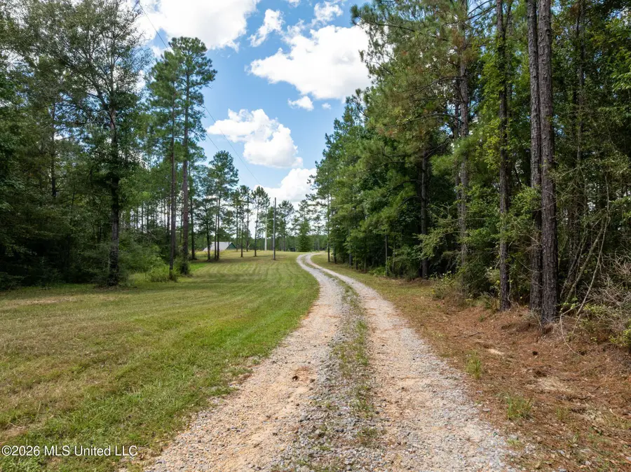 59 Clear Pines Drive, Sumrall, MS 39482 - #3