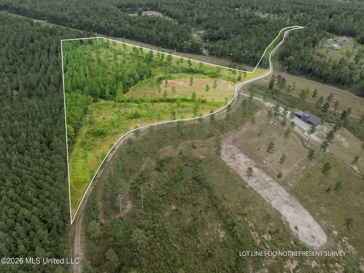 48 Clear Pines Drive, Sumrall, MS 39482 - #1