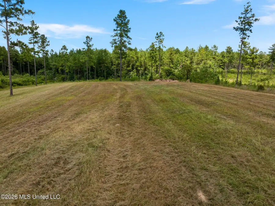 48 Clear Pines Drive, Sumrall, MS 39482 - #2