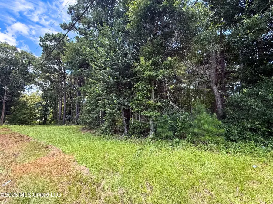 Berthadale Road, McComb, MS 39648 - #2